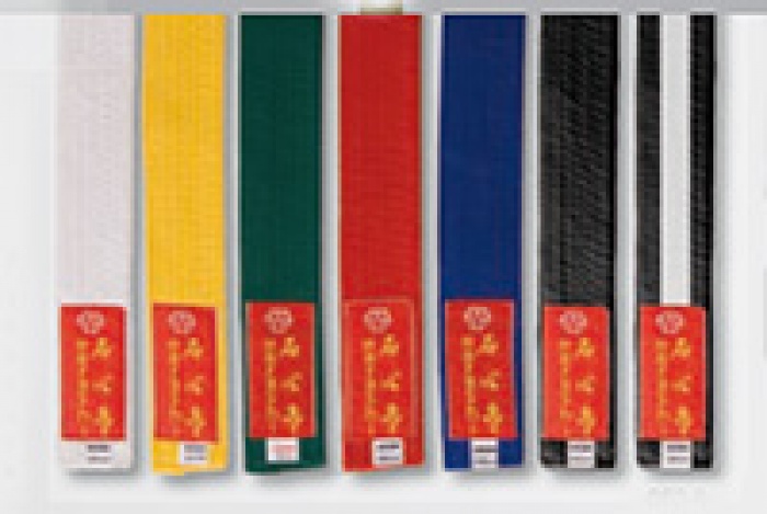 Egzamin na stopnie uczniowskie